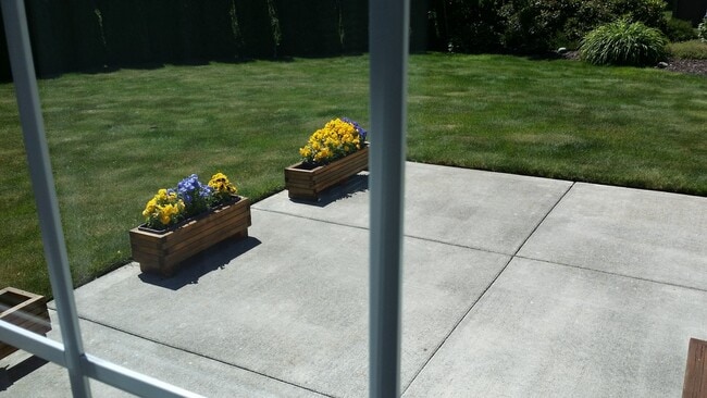 Building Photo - Beautiful Home Located in Cordata Neighbor...