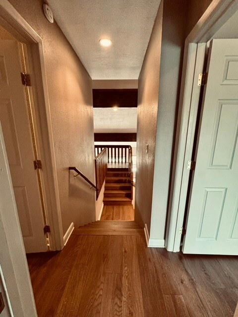 Building Photo - 145 Davis Cup Dr