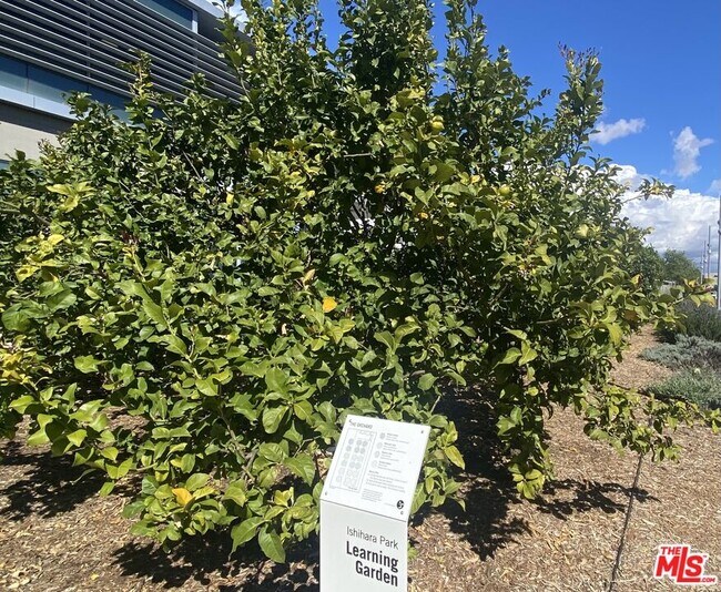 Building Photo - 2948 Exposition Blvd