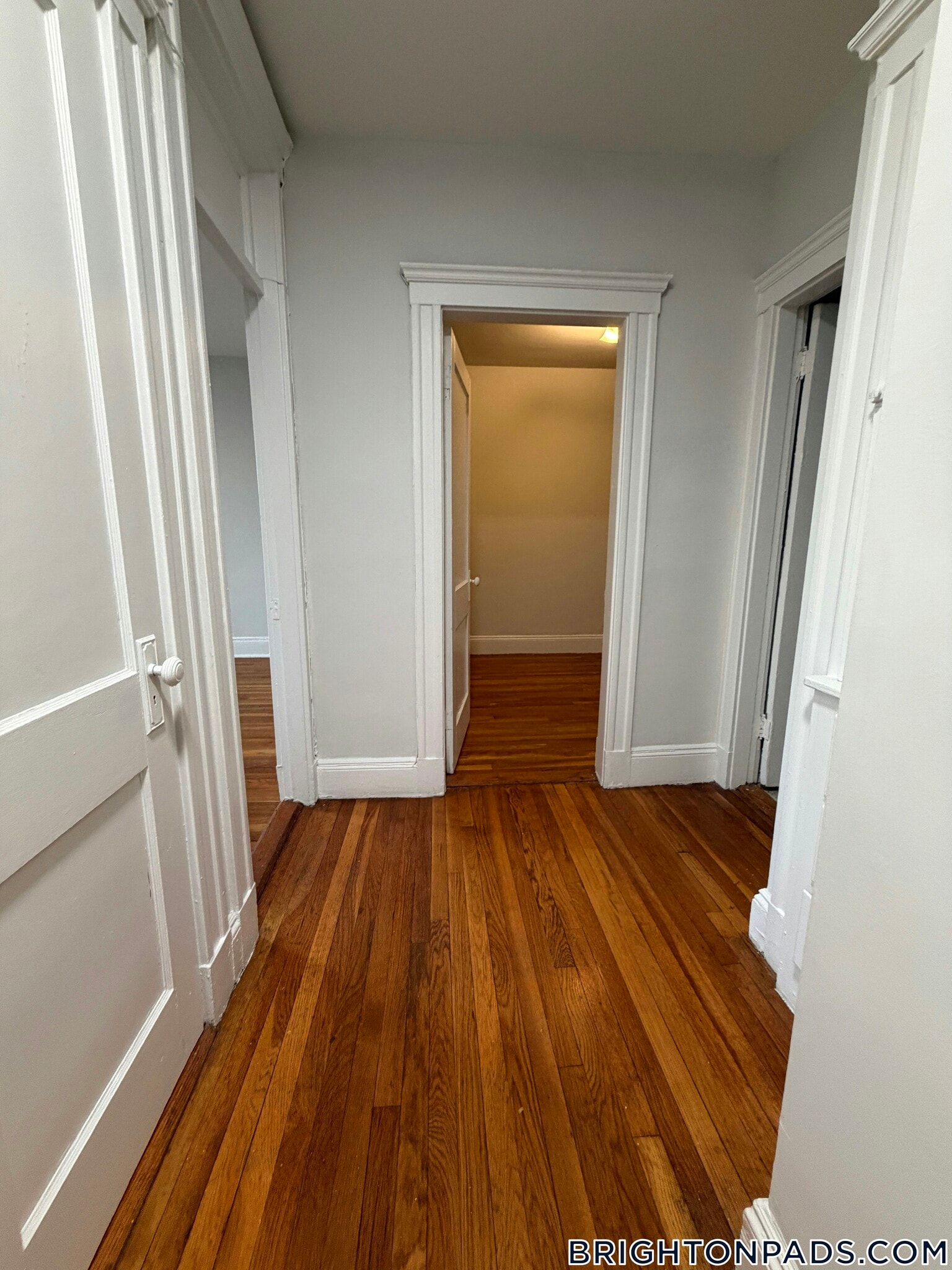 Building Photo - 288 Chestnut Hill Ave