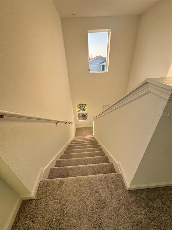 Building Photo - 2217 Rock Dr