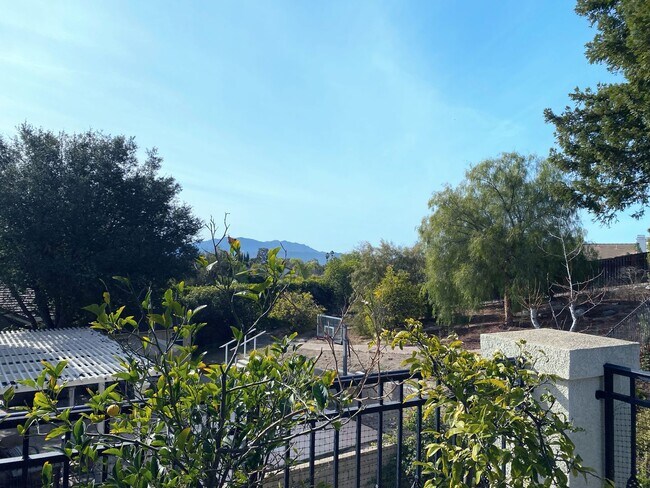 Building Photo - Private Courtyard Entry & Expansive Backyard Oasis