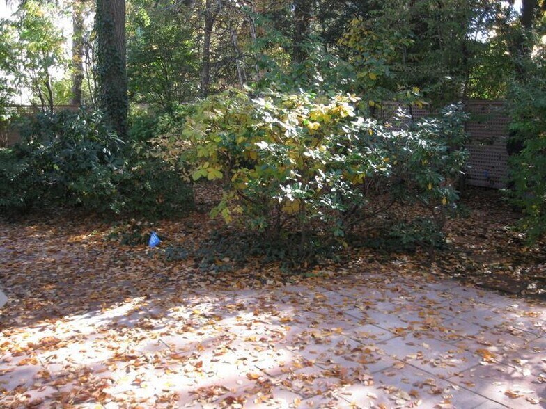 Building Photo - 30 Healey St