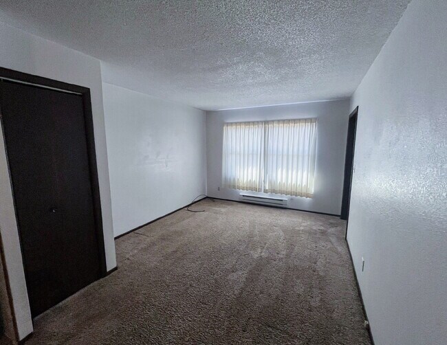 Building Photo - 2-3 3 Michael St