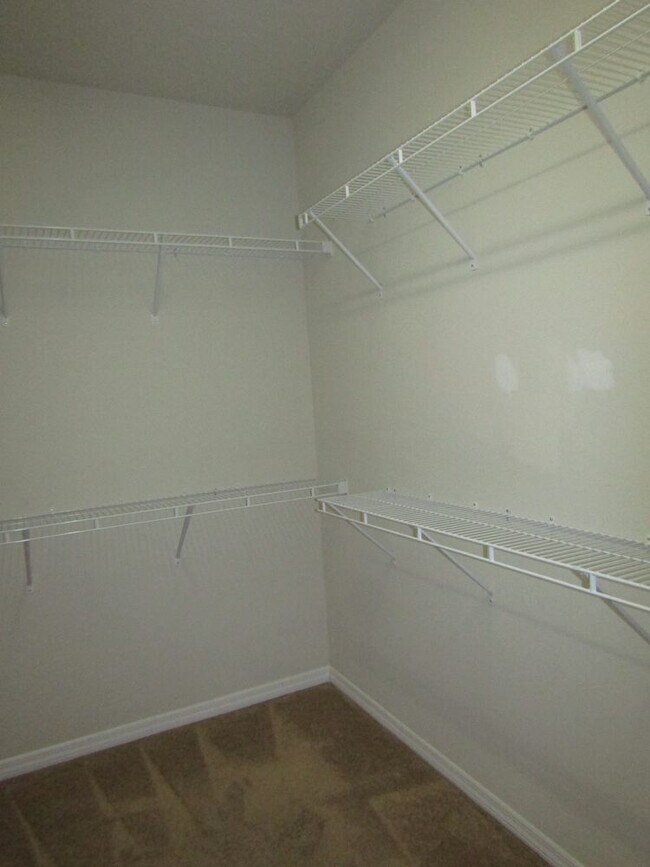 Building Photo - Pet Friendly Island Walk Annual Rental