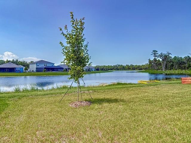 Building Photo - 2219 Lake Preserve Cir