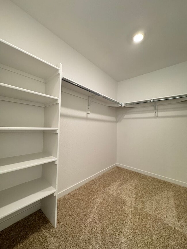 Building Photo - Brand New, Beautiful House-Fort Collins/Windsor