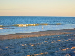 Building Photo - 3150 N Atlantic Ave