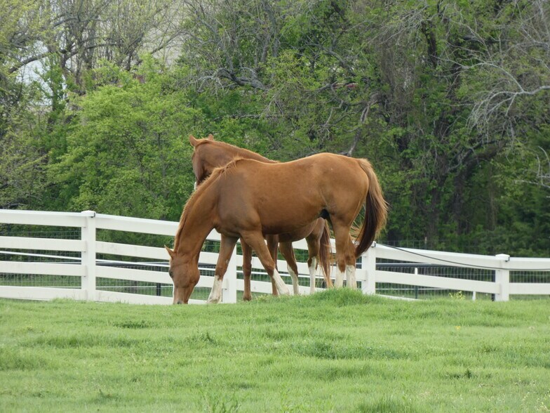 Pasture - 1444 Bledsoe Road