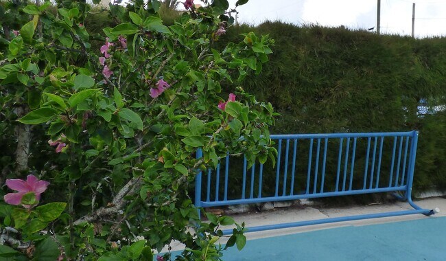 Building Photo - 2060 NE 1st St