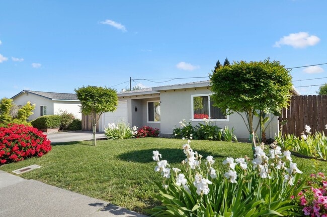 Building Photo - Beautiful Vacaville Home Near Parks, Schools & Shopping