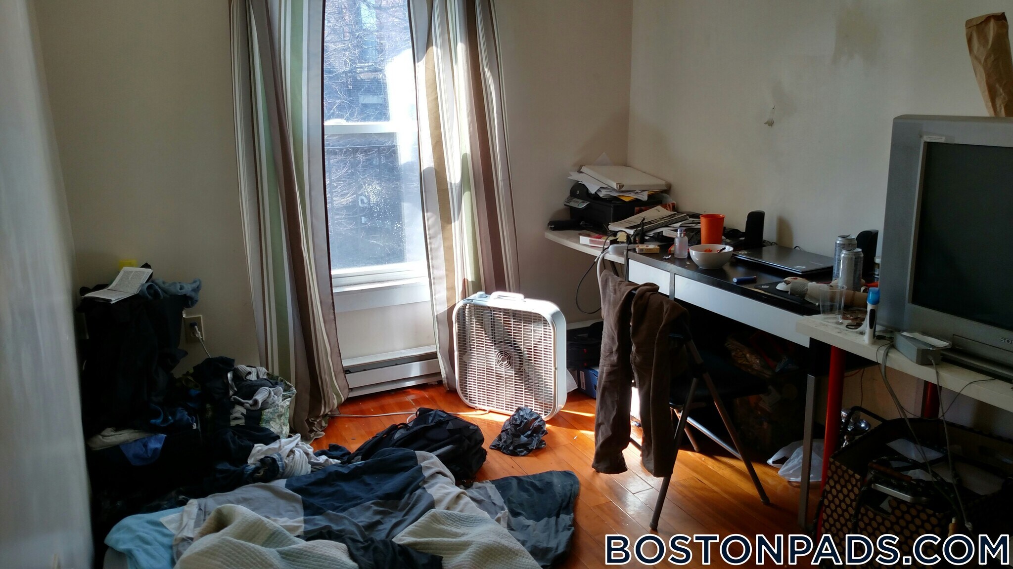 Building Photo - 104 Hammond St