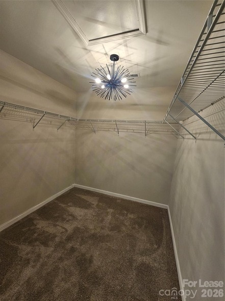 Building Photo - 1237 Scotch Meadows Loop