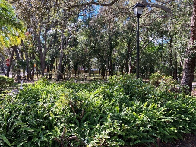 Building Photo - 11703 Raintree Village Blvd