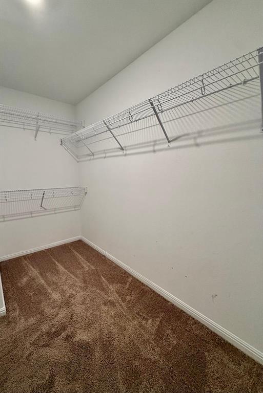 Building Photo - 509 Riverdale Dr