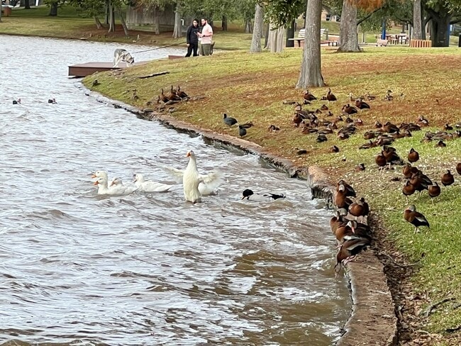 Building Photo - 3331 Double Lake Dr