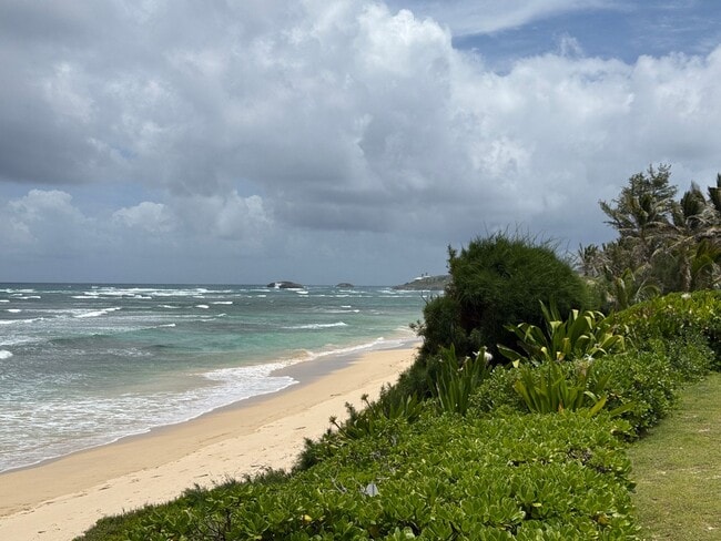 Building Photo - May to October ocean front 2/2 rental