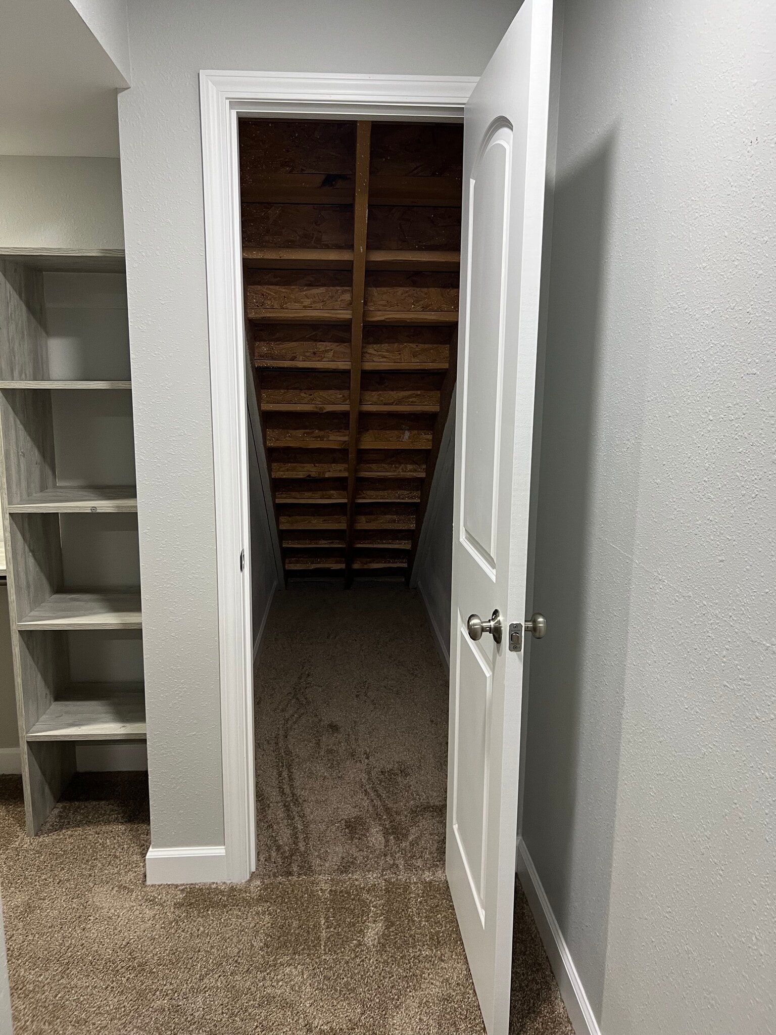 Bedroom 4 storage (downstairs) - 4701 Rainbow Trout Dr
