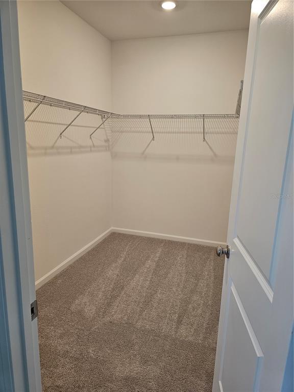 Building Photo - 2144 Rider Rain Ln