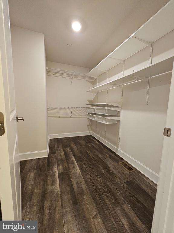 Building Photo - 2502 Vivaldi Ln
