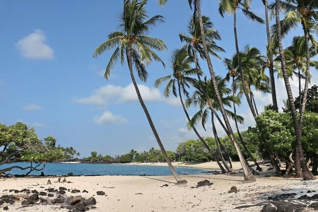 Building Photo - 75-5873 Walua Rd C-208