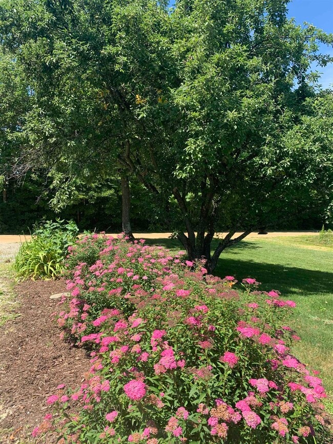 Building Photo - 293 Bear Hill Rd