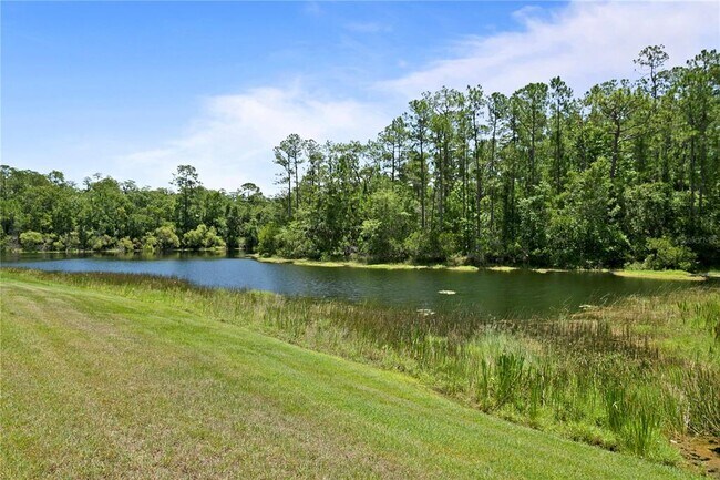 Building Photo - 20317 Chestnut Grove Dr
