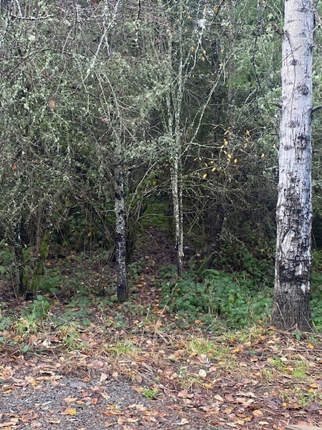 Building Photo - Private Country Living 3 Bedroom Home!