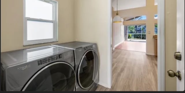 Building Photo - 384 Pindo Palm Dr