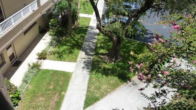 Building Photo - 2402 Ecuadorian Way