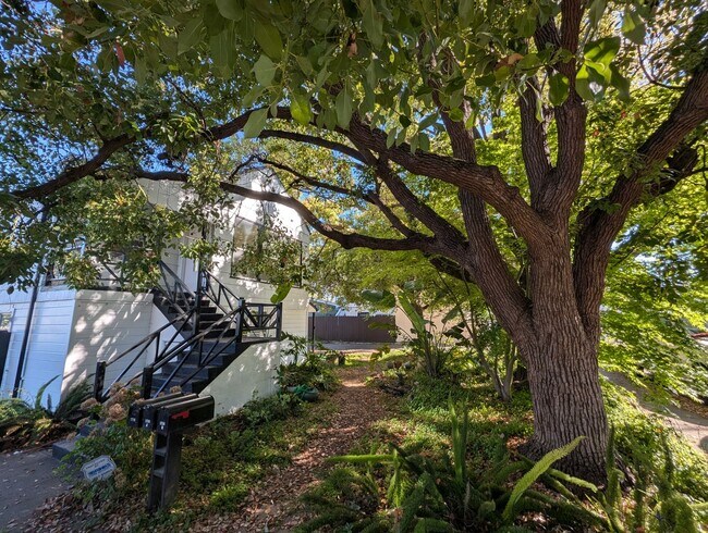 Building Photo - 1716 Marin St