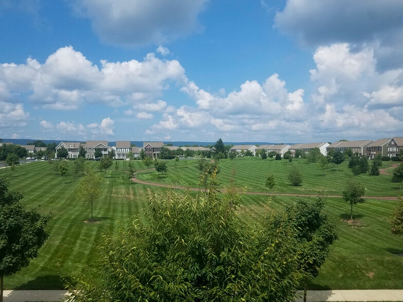 View From Master Bedroom - 2B Ellington Road