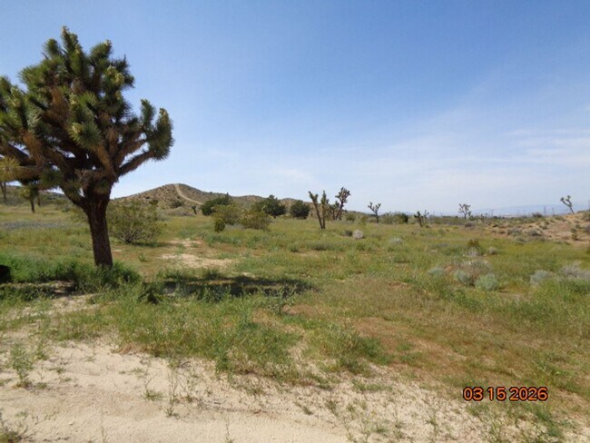 Building Photo - Sprawling and Spacious 8-acre Ranch Home