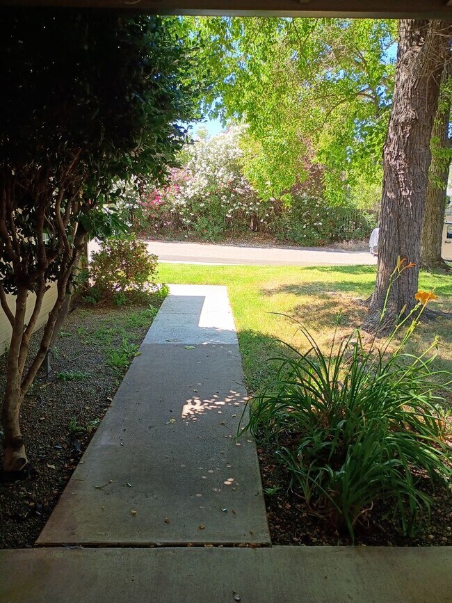 Building Photo - Excellent Fair Oaks Location 3 Bedroom Home!