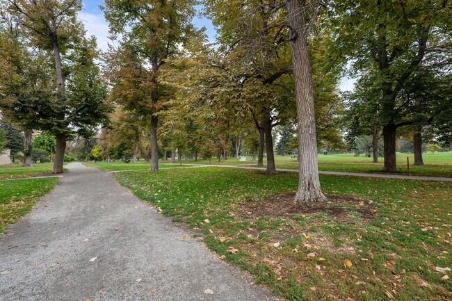 Building Photo - Gorgeous apartment in Cheesman Park!