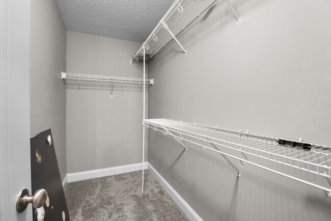 Building Photo - 3795 McAllister Dr