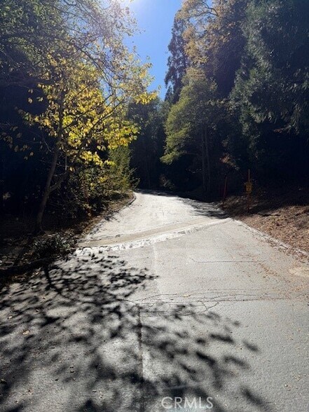 Building Photo - 301 Canyon Crest Ln