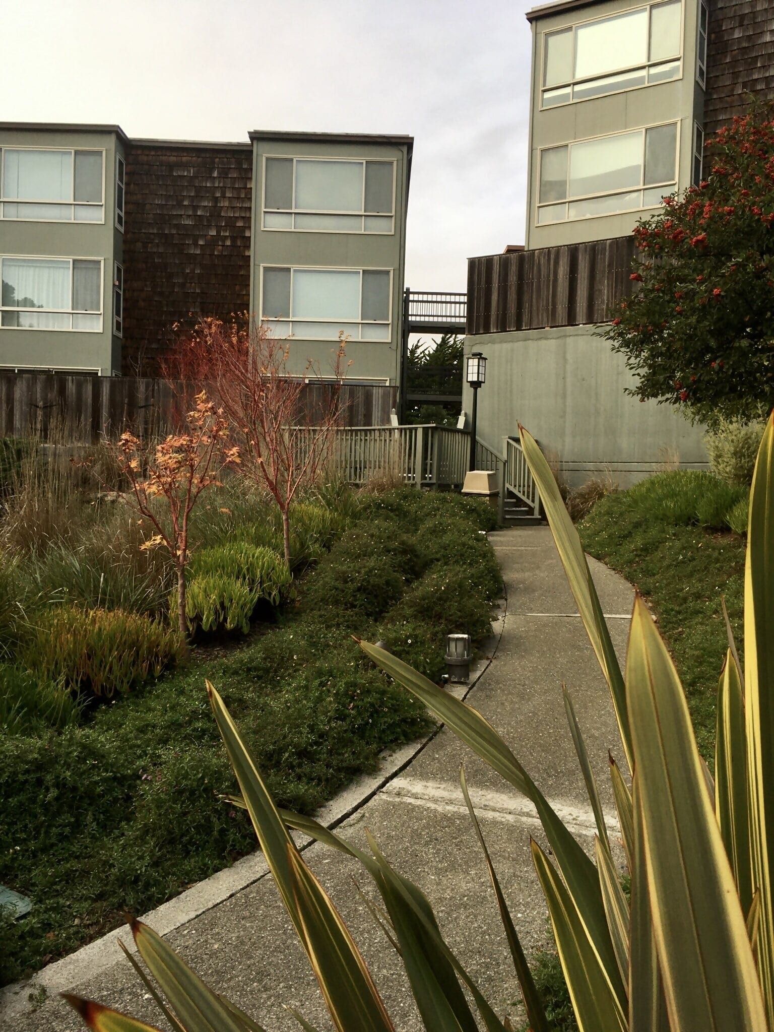 Beautiful views and landscaping abounds! - 15 Red Rock Way