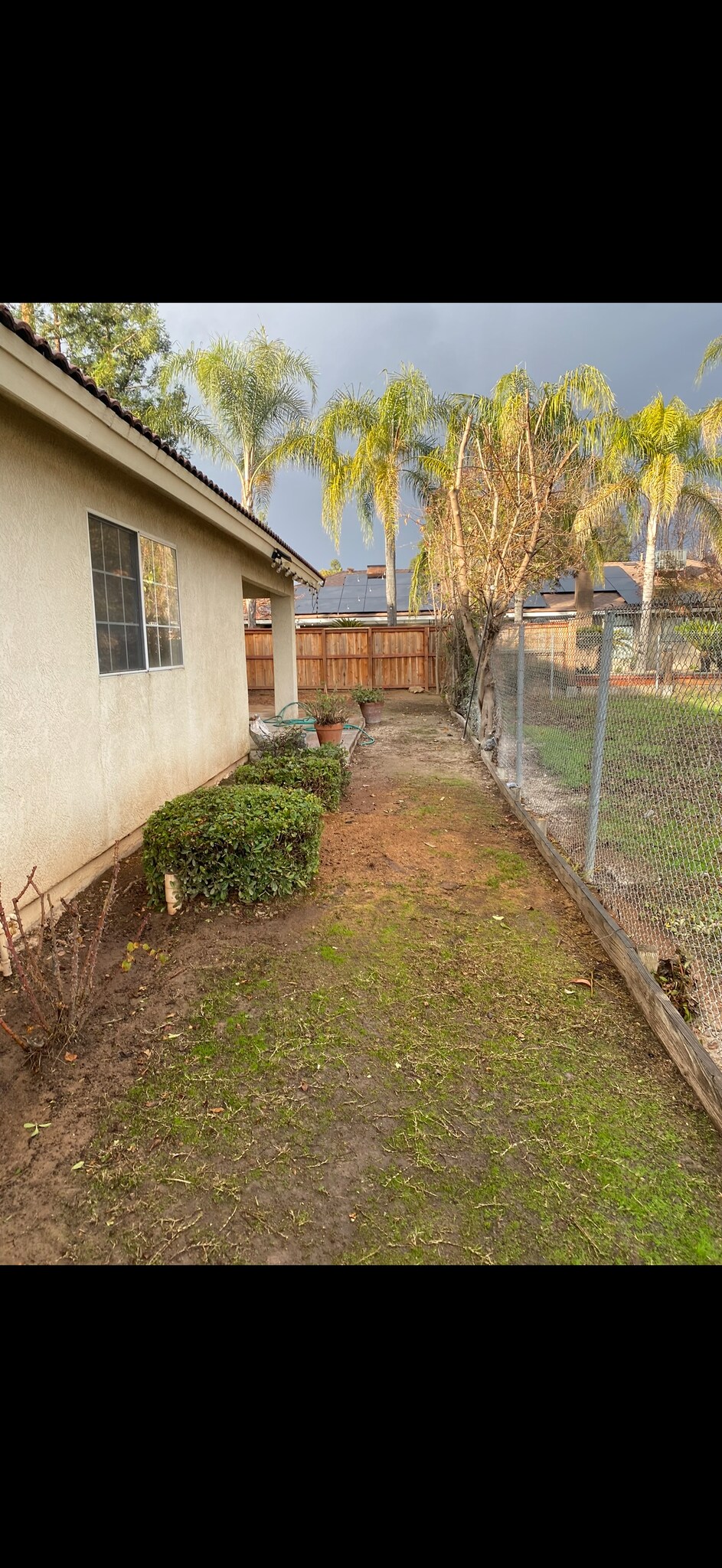 Building Photo - 1542 E Alluvial Ave