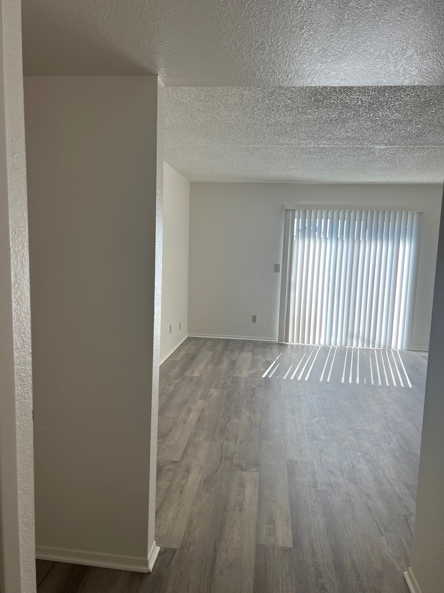 full living room - 8257 W Santa Cruz Blvd