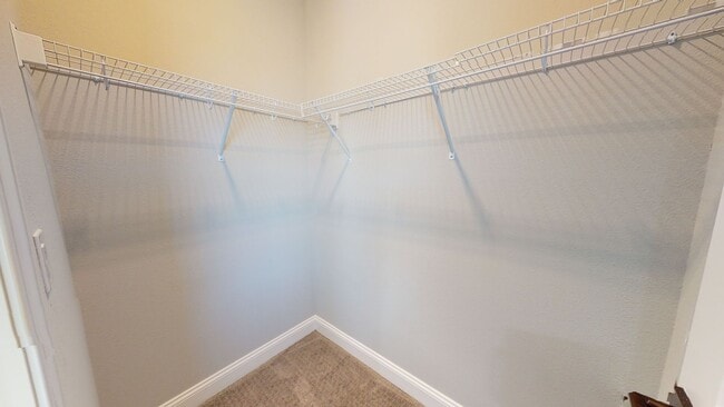 Building Photo - Exceptional Nearly New Toll Brothers Home in a Gated St. Augustine Community