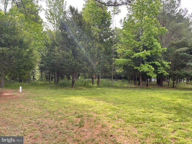 Building Photo - 18162 White Tail Way