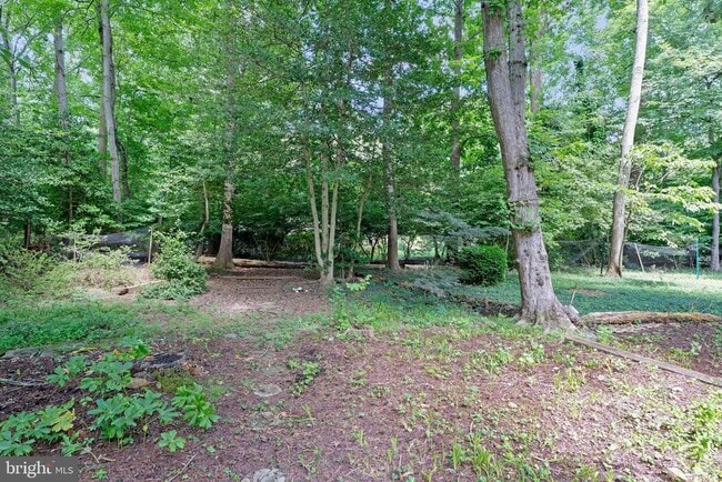 Building Photo - 2305 Acton Dr