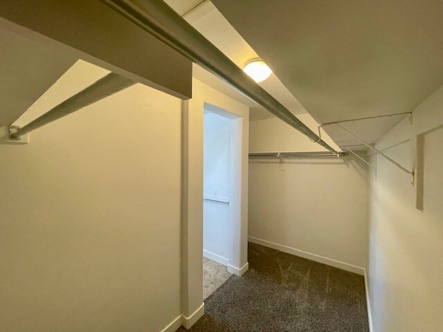 Master Closet - 2668 Cottonwood Dr