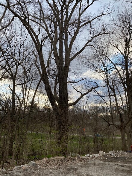 Adjacent park - 1301 Jones Dr