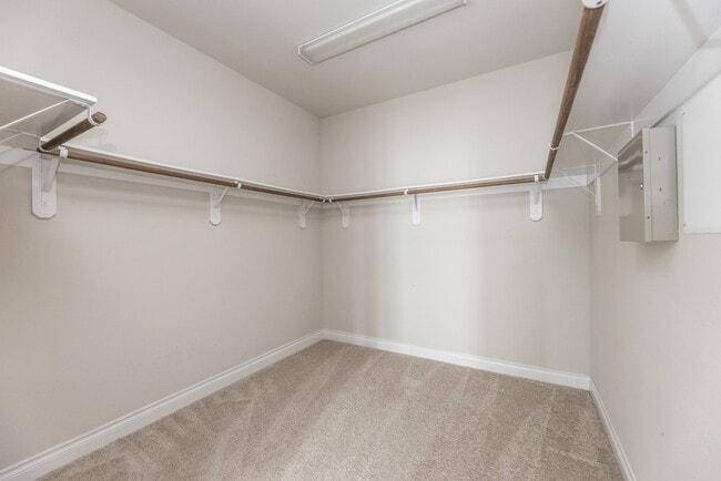 Building Photo - 2131 Blossomcrown Dr