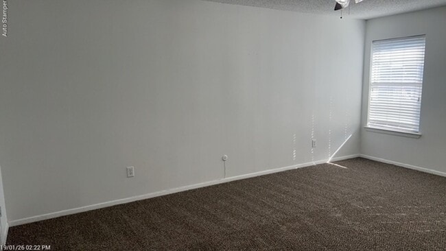 Building Photo - 905 Rose St