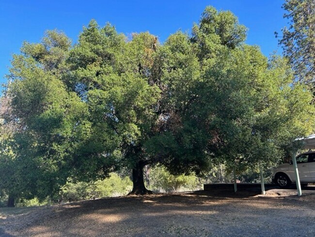 Building Photo - G5 | (CHP) 18480 Deer Flat Road