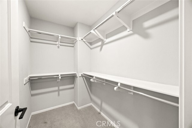 Building Photo - 925 Clementine Ct