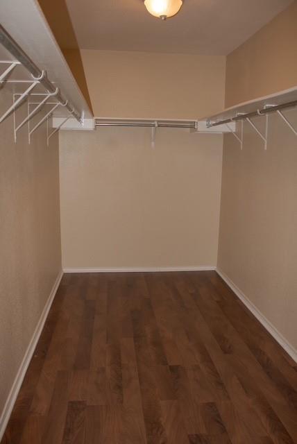 Building Photo - 604 Trail Dust Dr